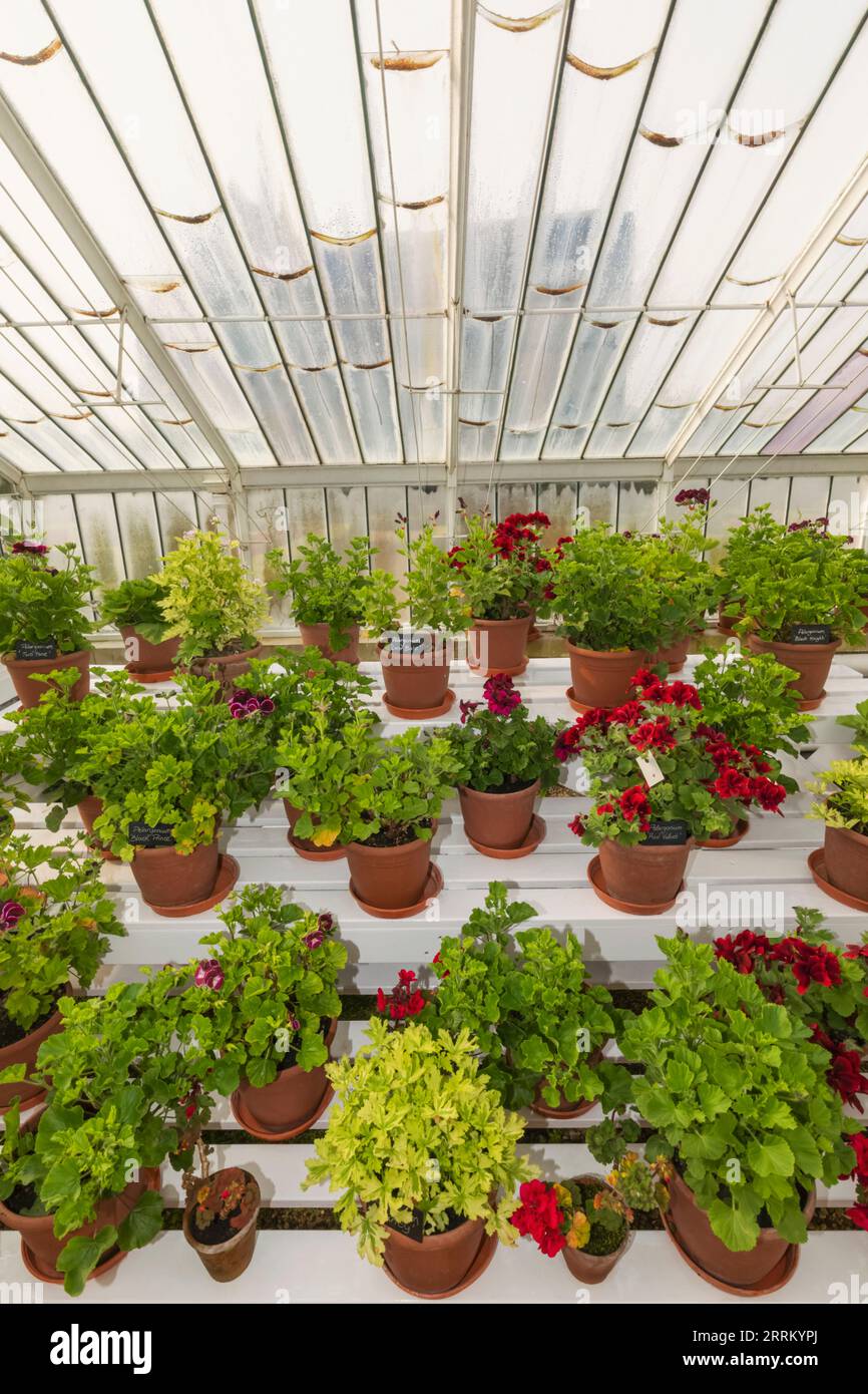 England, Sussex, West Sussex, Arundel, Arundel Castle, The Gardens, The