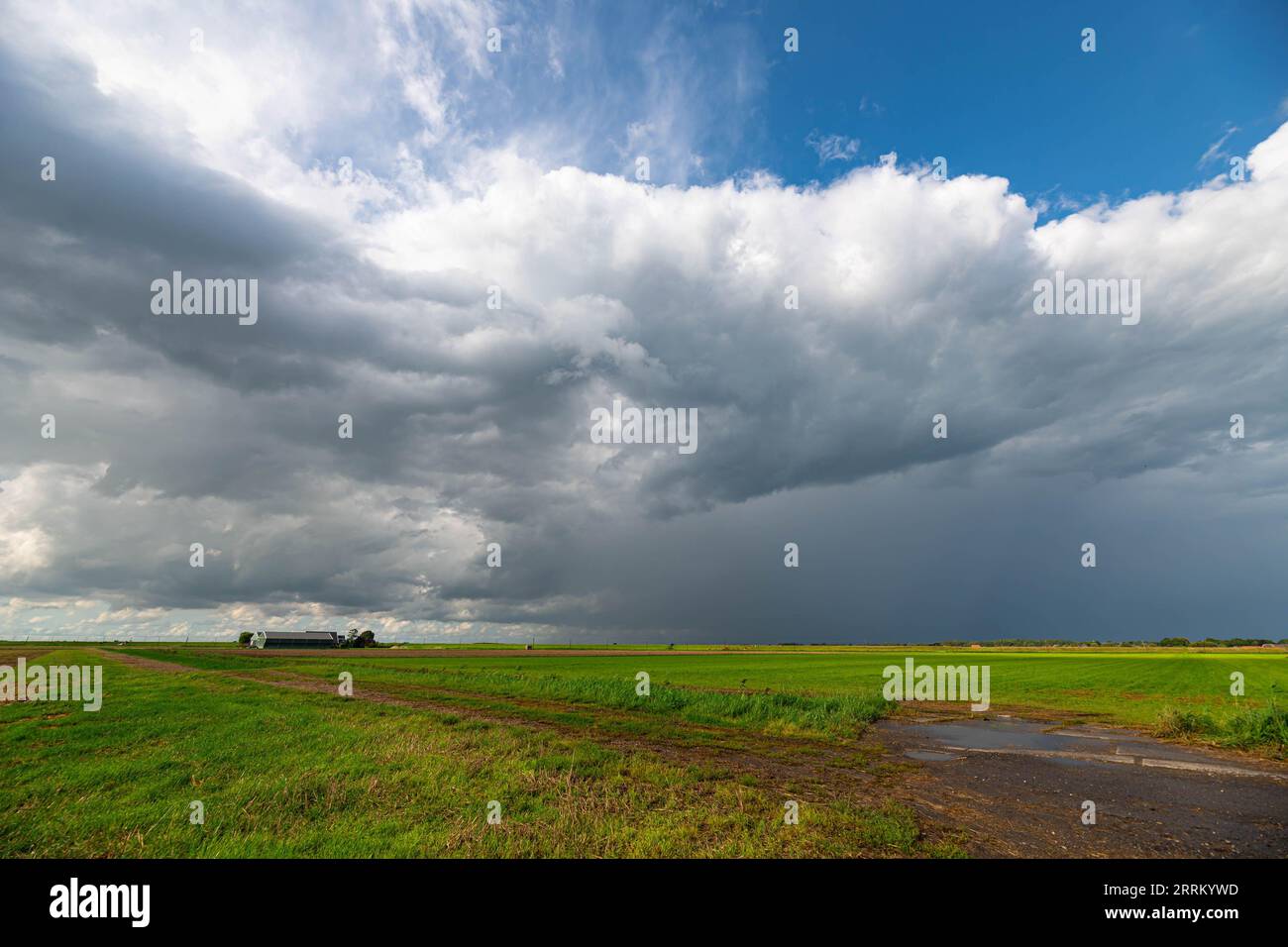 Thundery shower over the green meadows of Holland in spring Stock Photo