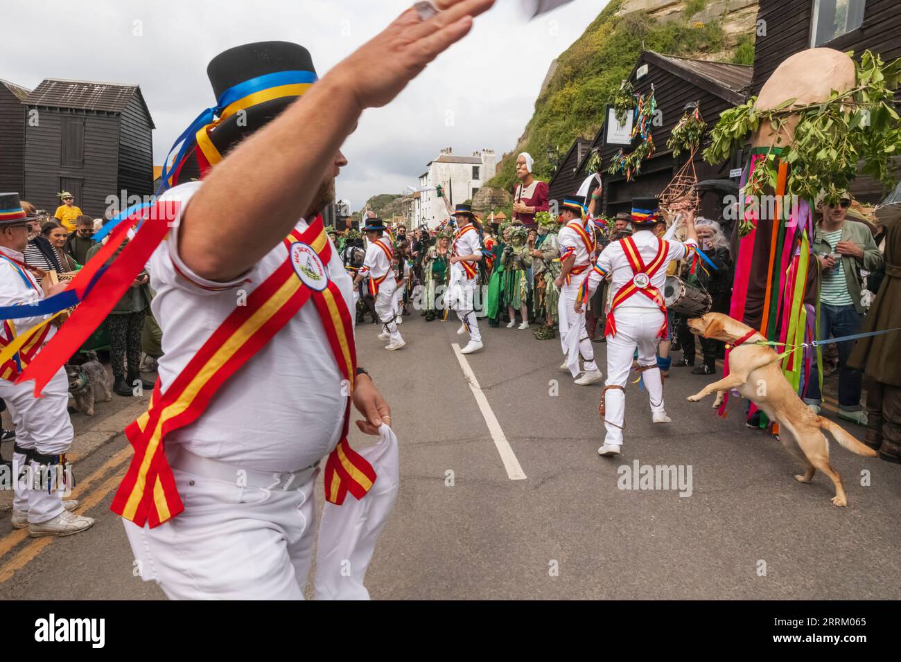 England, Sussex, East Sussex, Hastings, The Old Town, Morris Dancers in The Annual Jack in The Green Festival Stock Photo