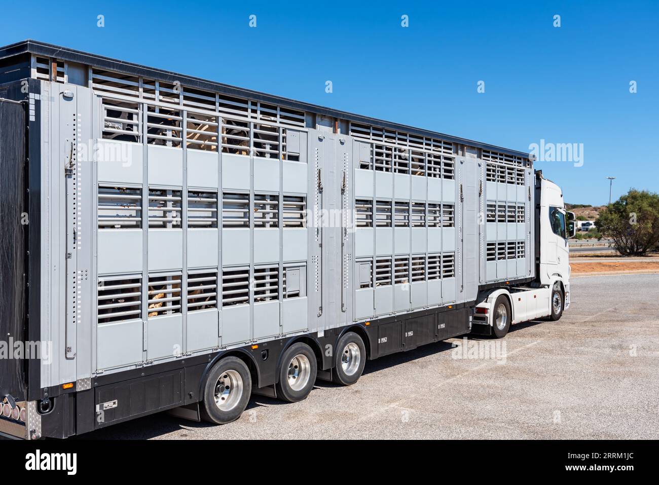 Side view of a truck dedicated to transporting livestock, in this case