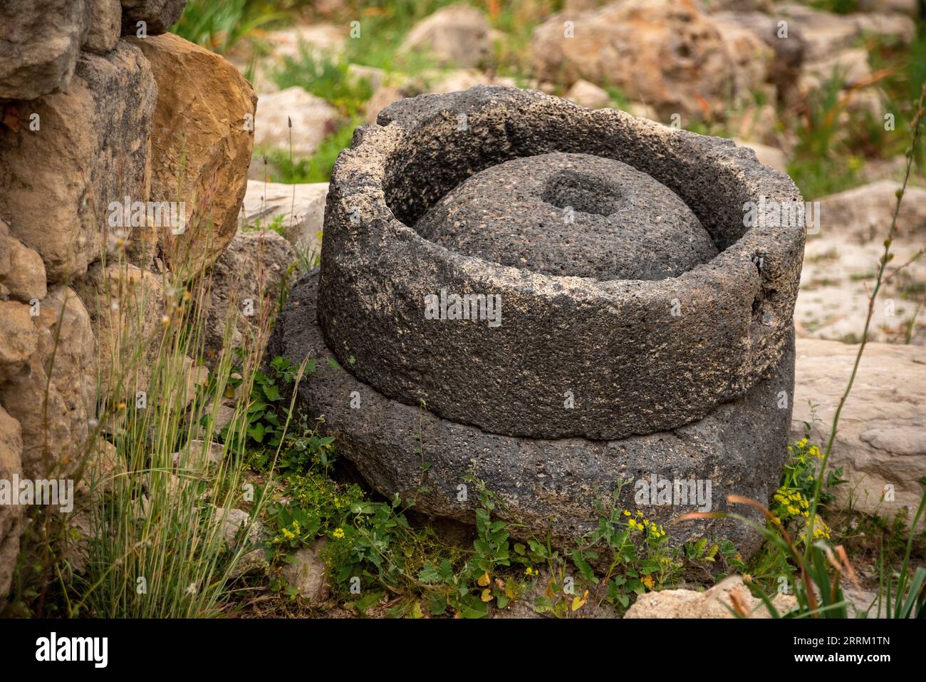 Ruins of the ancient Roman town of Volubilis in Morocco, North Africa Stock Photo