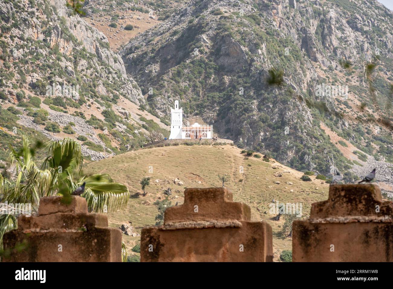 View of the Spanish Mosque in Chefchaouen, seen from the Kasbah, Morocco Stock Photo