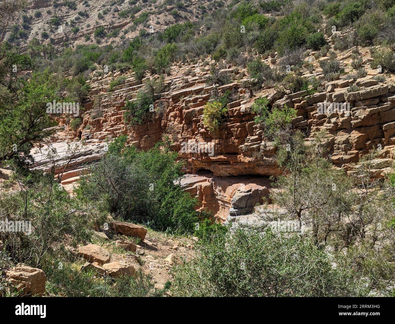 Great landscape near Paradise Valley in the Agadir region, Morocco Stock Photo