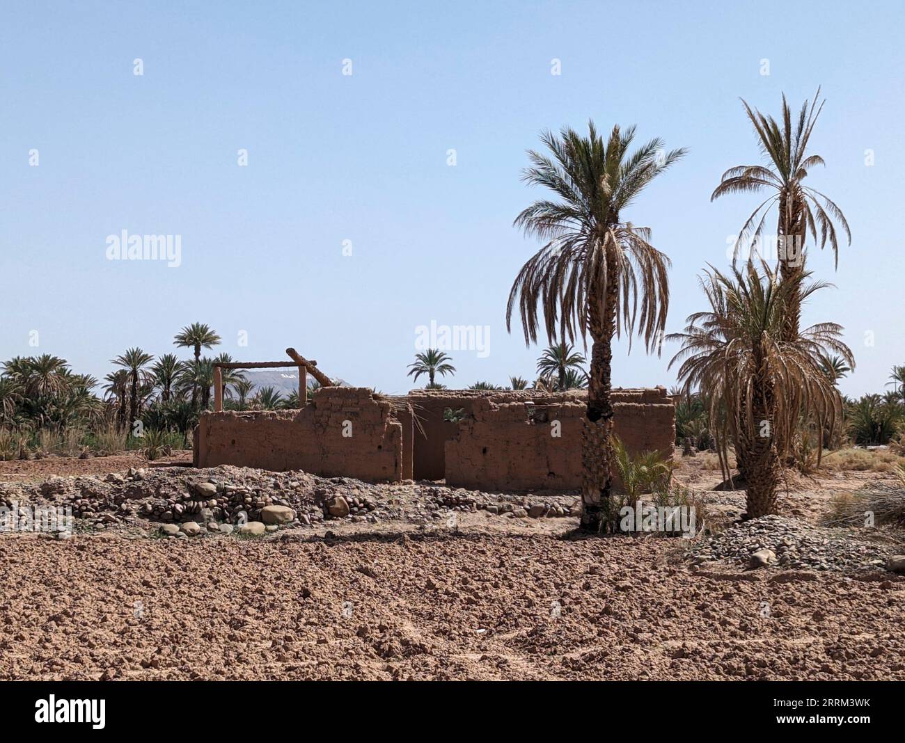 An old traditional shed in the middle of farmland, a few palms surrounding the building, Draa valley in Morocco Stock Photo
