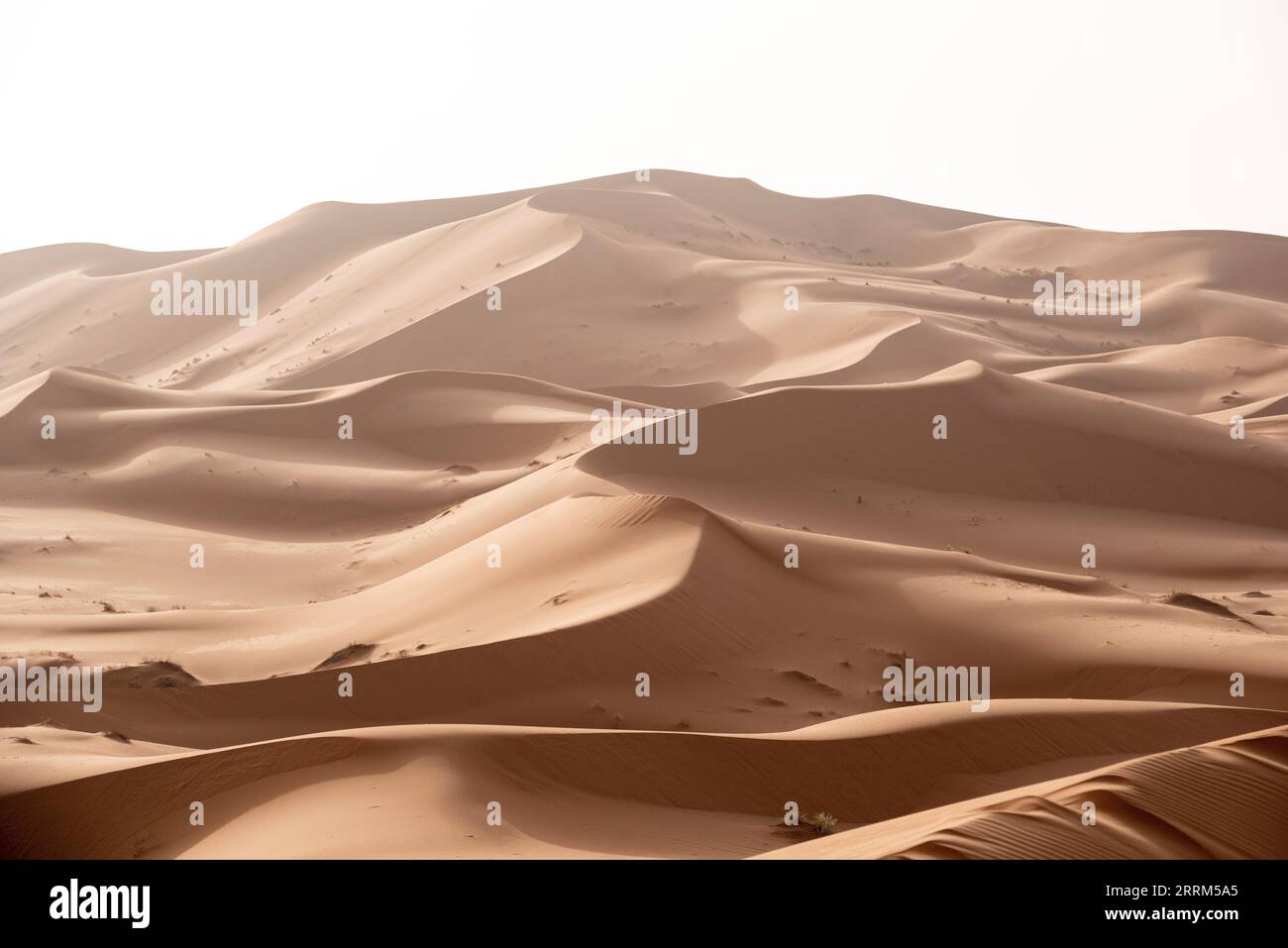 Picturesque dunes in the Erg Chebbi desert, part of the African Sahara, Morocco Stock Photo