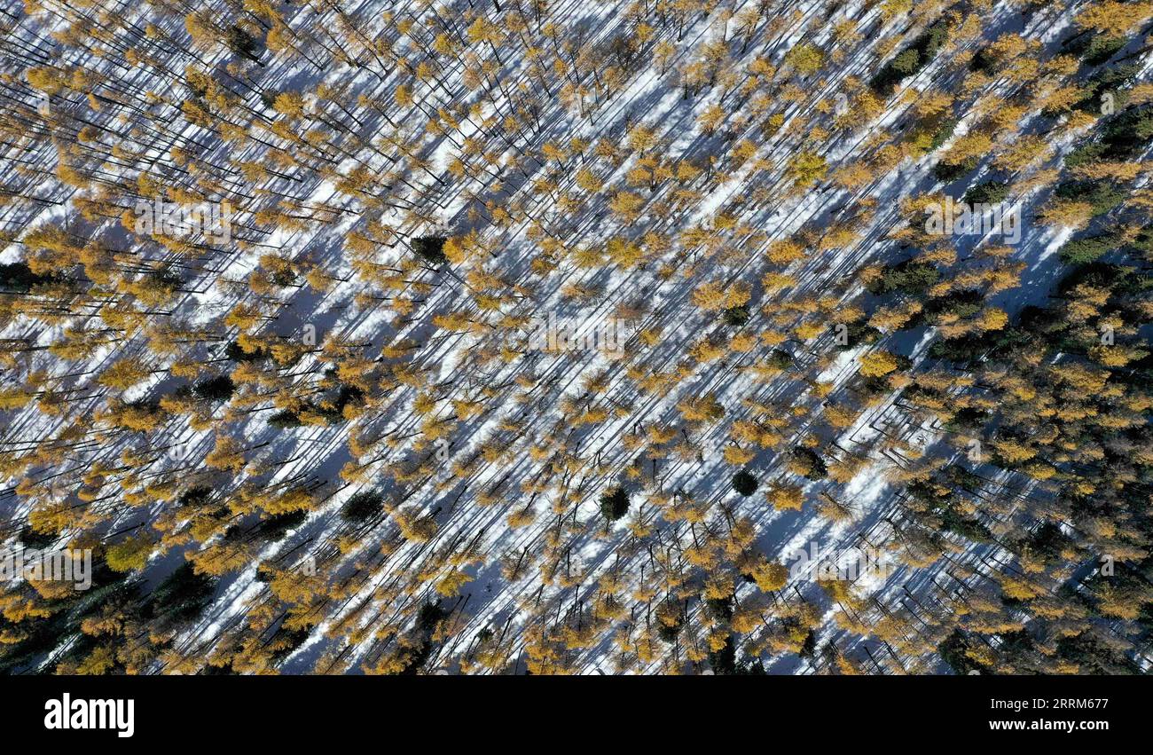 221004 -- URUMQI, Oct. 4, 2022 -- Aerial photo taken on Oct. 4, 2022 ...