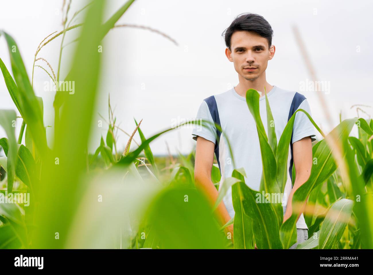 young guy farmer stands in a cornfield Stock Photo