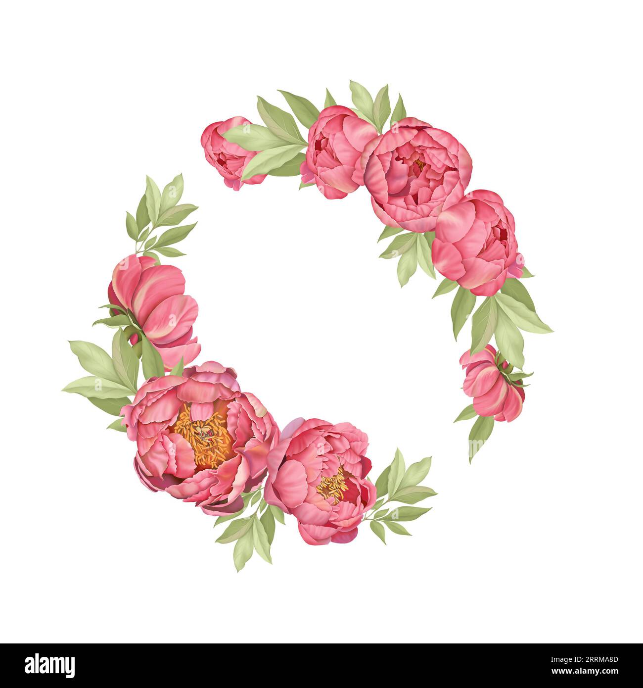 Pink hand-drawn peonies. Digital illustration. Flower wreath. Flower bouquets. Stock Photo