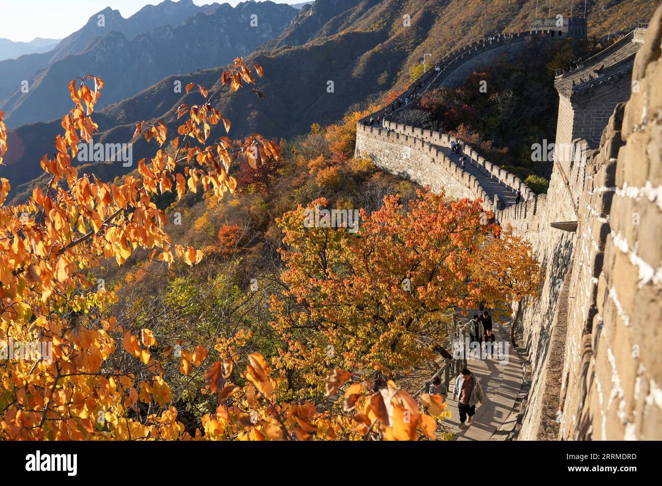 221023 -- BEIJING, Oct. 23, 2022 Xinhua -- Tourists visit the Mutianyu section of the Great Wall in Beijing, capital of China, Oct. 22, 2022. Xinhua/Ju Huanzong Beijing CHINA Weather & Environment conservation & Disasters & Accidents xx *** 221023 BEIJING, Oct 23, 2022 Xinhua Tourists visit the Mutianyu section of the Great Wall in Beijing, capital of China, Oct 22, 2022 Xinhua Ju Huanzong Beijing CHINA Weather Environment conservation Disasters Accidents xx, PUBLICATIONxNOTxINxDENxNORxSWExFIN Copyright: xJuxHuanzongx CHINA-BEIJING-GREAT WALL-MUTIANYU CN Stock Photo
