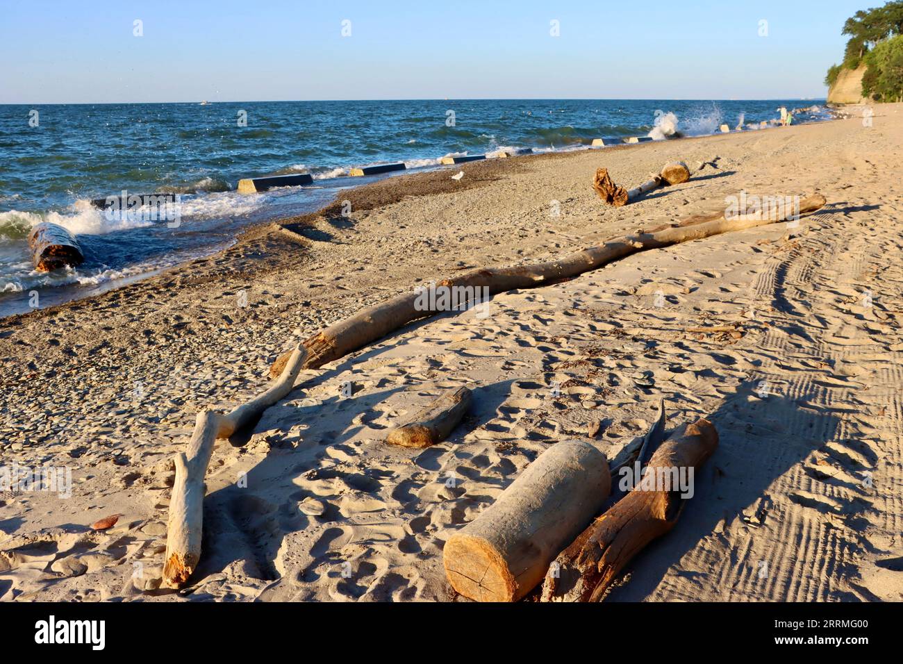 The sandy beach with driftwood at Clifton Beach Club in Lakewood, Ohio