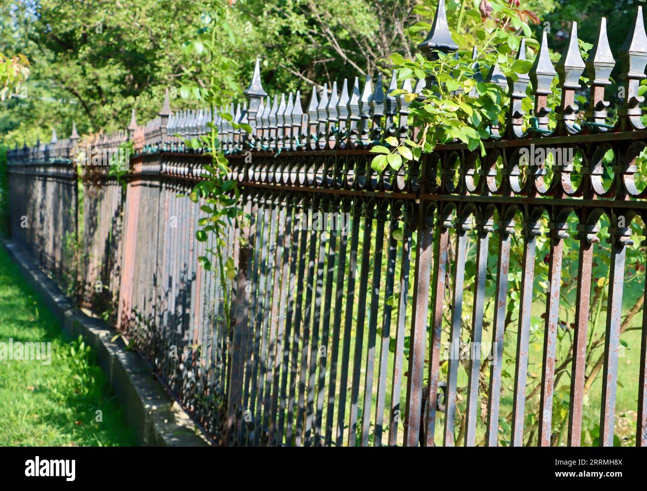Green wrought iron fence hi-res stock photography and images - Alamy