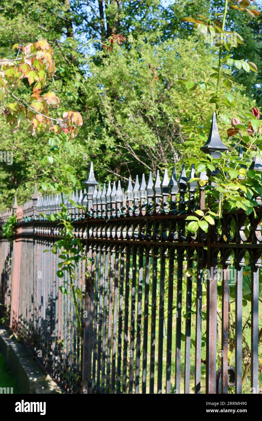 Green wrought iron fence hi-res stock photography and images - Alamy