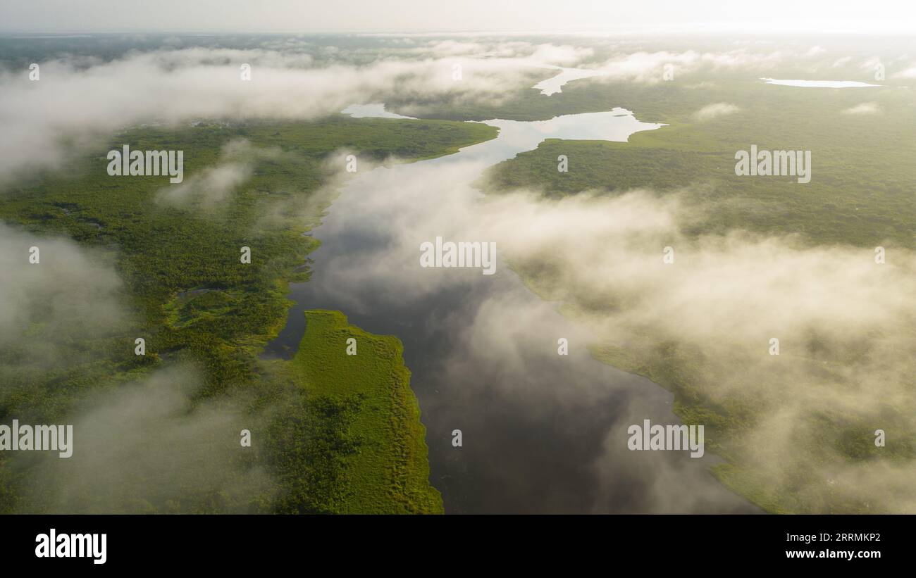 Amazon lakes are found in many places, they house a diversity of fauna that is used by nearby residents. Stock Photo