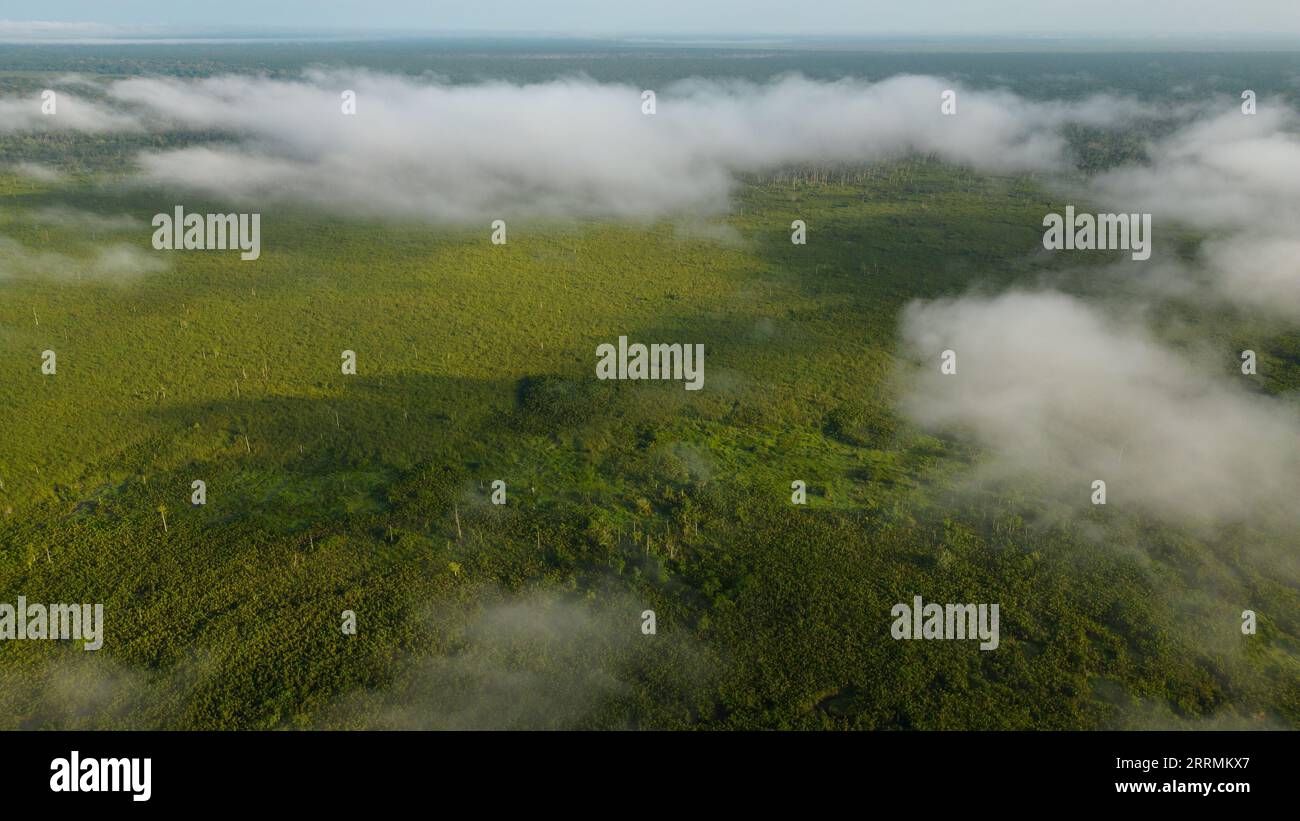 Amazon lakes are found in many places, they house a diversity of fauna that is used by nearby residents. Stock Photo