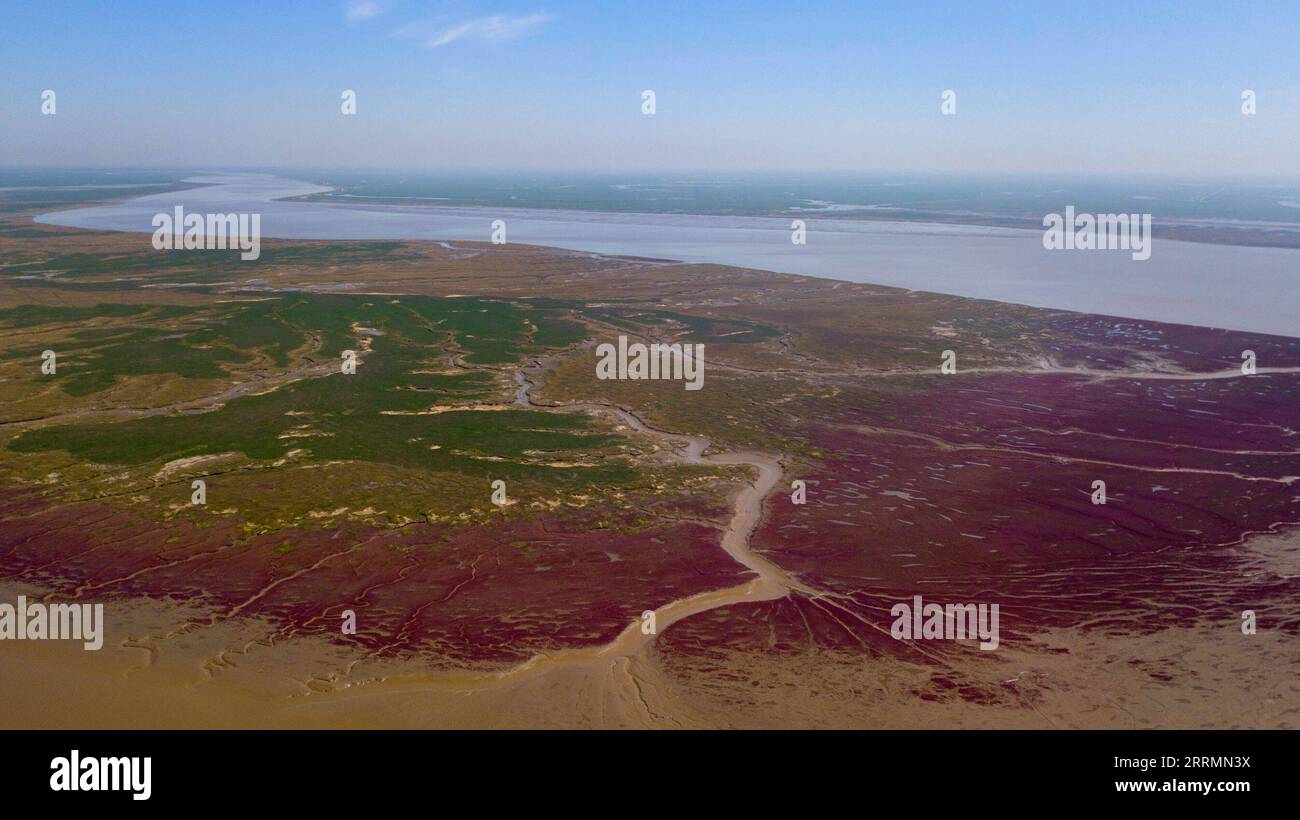 221107 -- PANJIN, Nov. 7, 2022 -- This aerial photo taken on May 22, 2019 shows the wetland in Liaohekou National Nature Reserve in Panjin, northeast China s Liaoning Province. Various types of wetlands have been found in the Liaohe River Delta. The tidelands there are covered by the suaeda salsa, which turn red on the beach in autumn. Photo by /Xinhua CHINA-LIAONING-PANJIN-WETLAND CN SongxYan PUBLICATIONxNOTxINxCHN Stock Photo