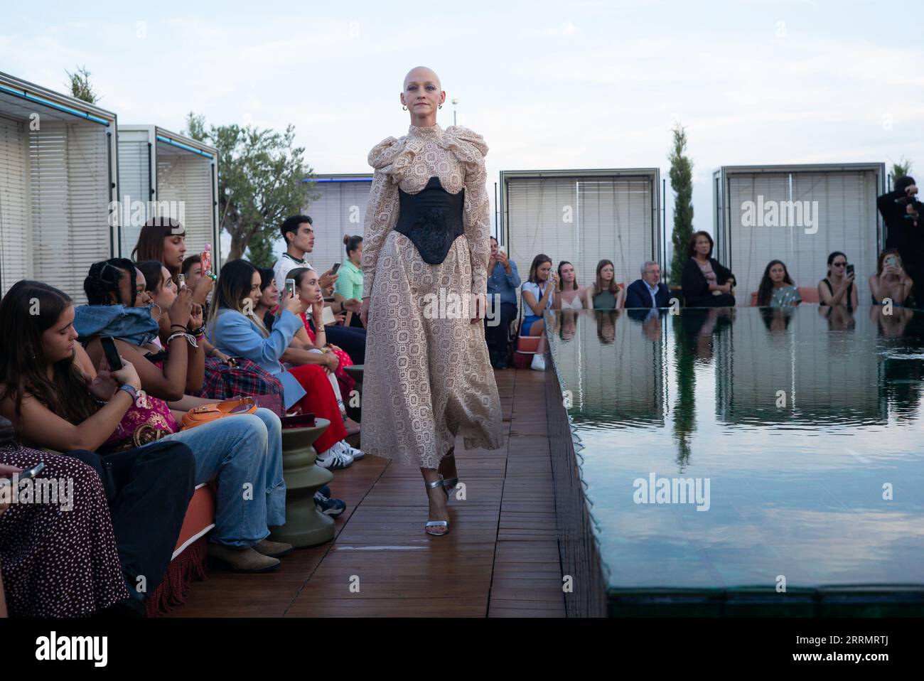 Just wanted to show you my two greatgrandsons, Manasseh and Gideon, 7th  generation Portuguese from Ptown, image size:1300x958