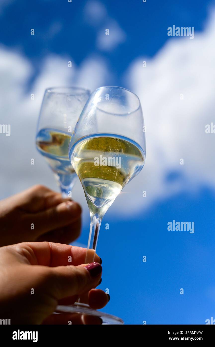 Glass of sparkling white wine with bubbles champagne and blue sky in