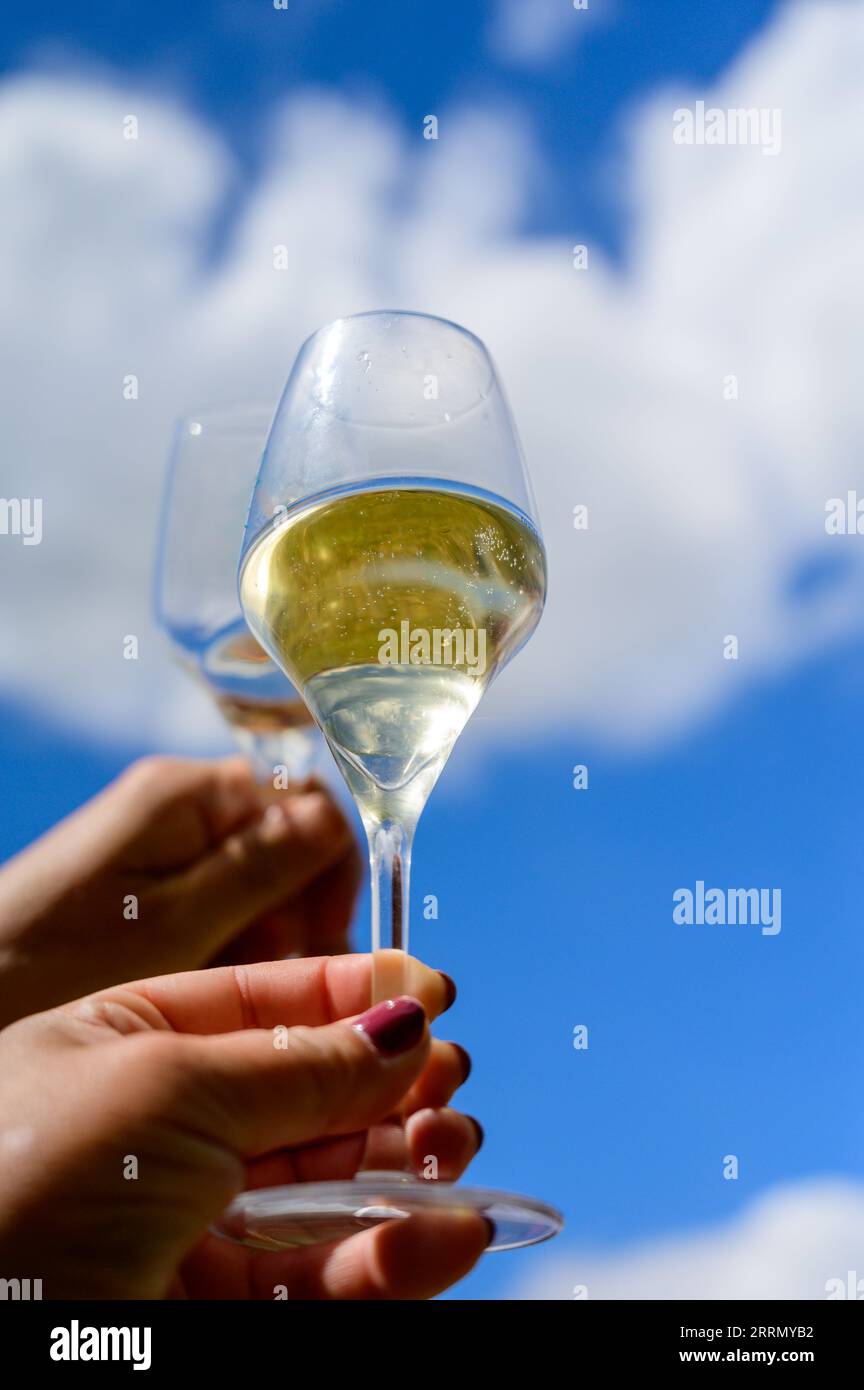 Glass of sparkling white wine with bubbles champagne and blue sky in