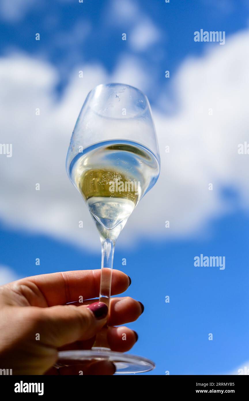 Glass of sparkling white wine with bubbles champagne and blue sky in