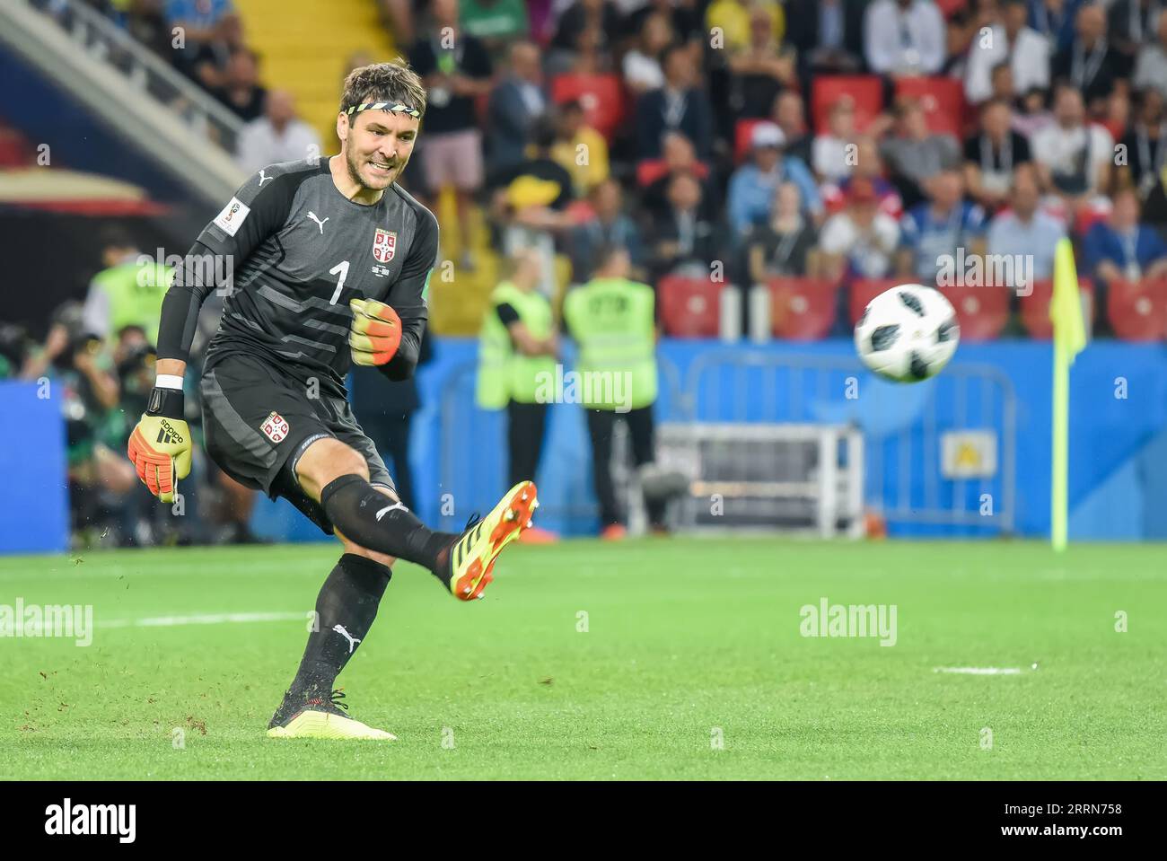 Moscow, Russia - June 27, 2018. Serbia national team goalkeeper Vladimir Stojkovic during FIFA World Cup 2018 match Serbia vs Brazil (0-2) Stock Photo