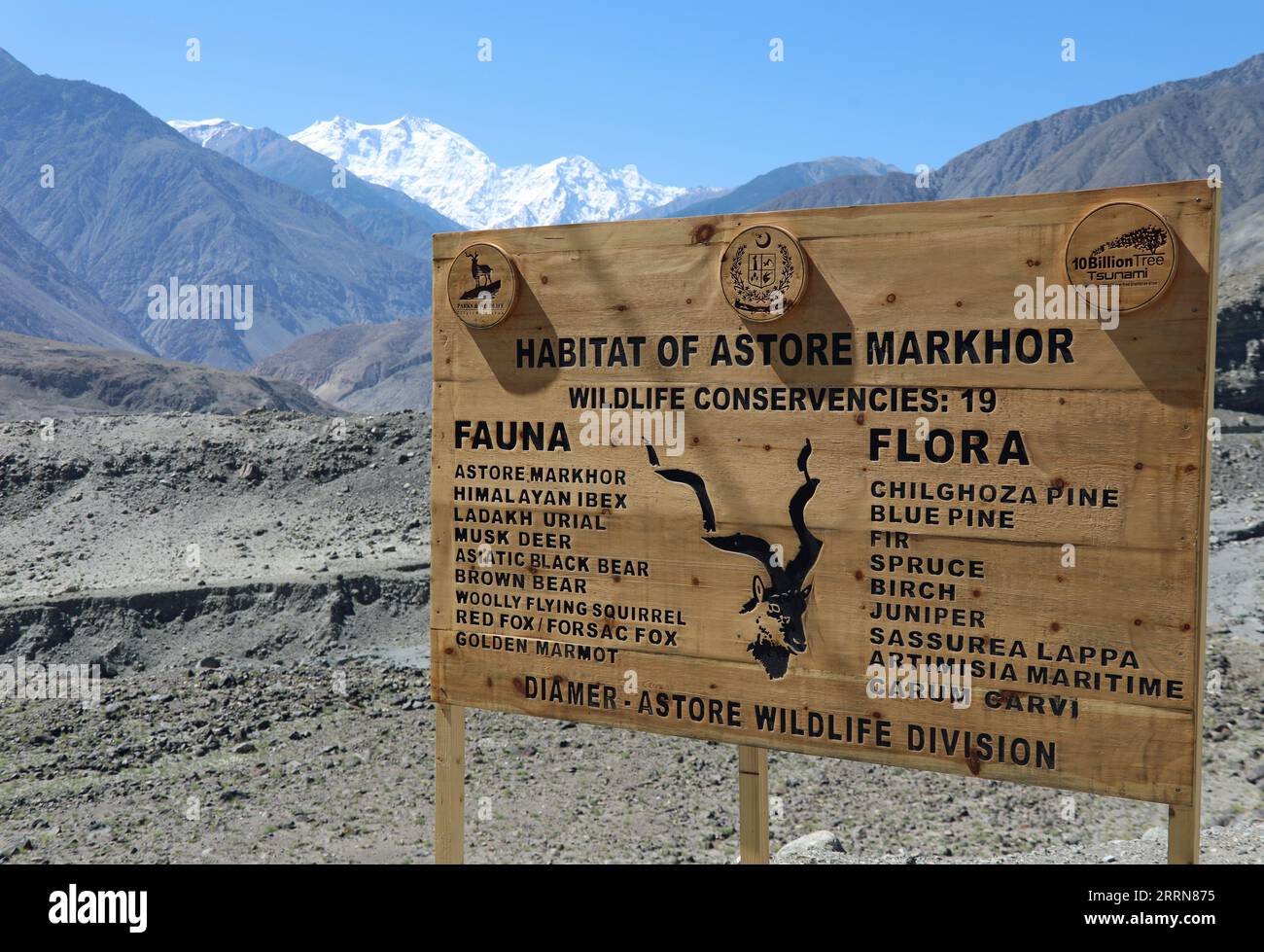 Habitat of Astore Markhor in Pakistan Stock Photo