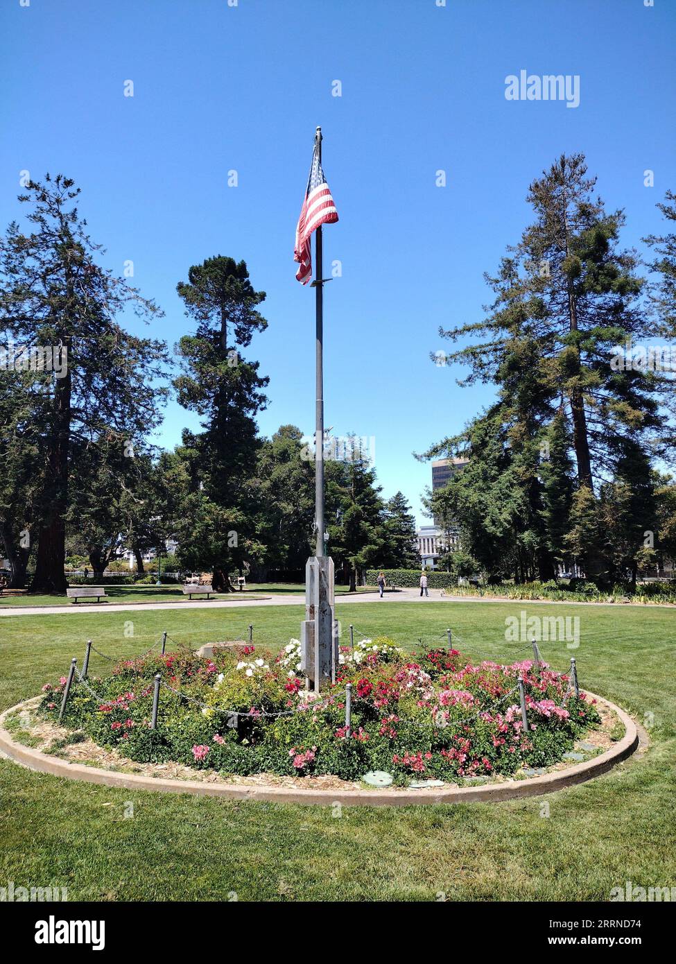 American flag in San Mateo central park Stock Photo