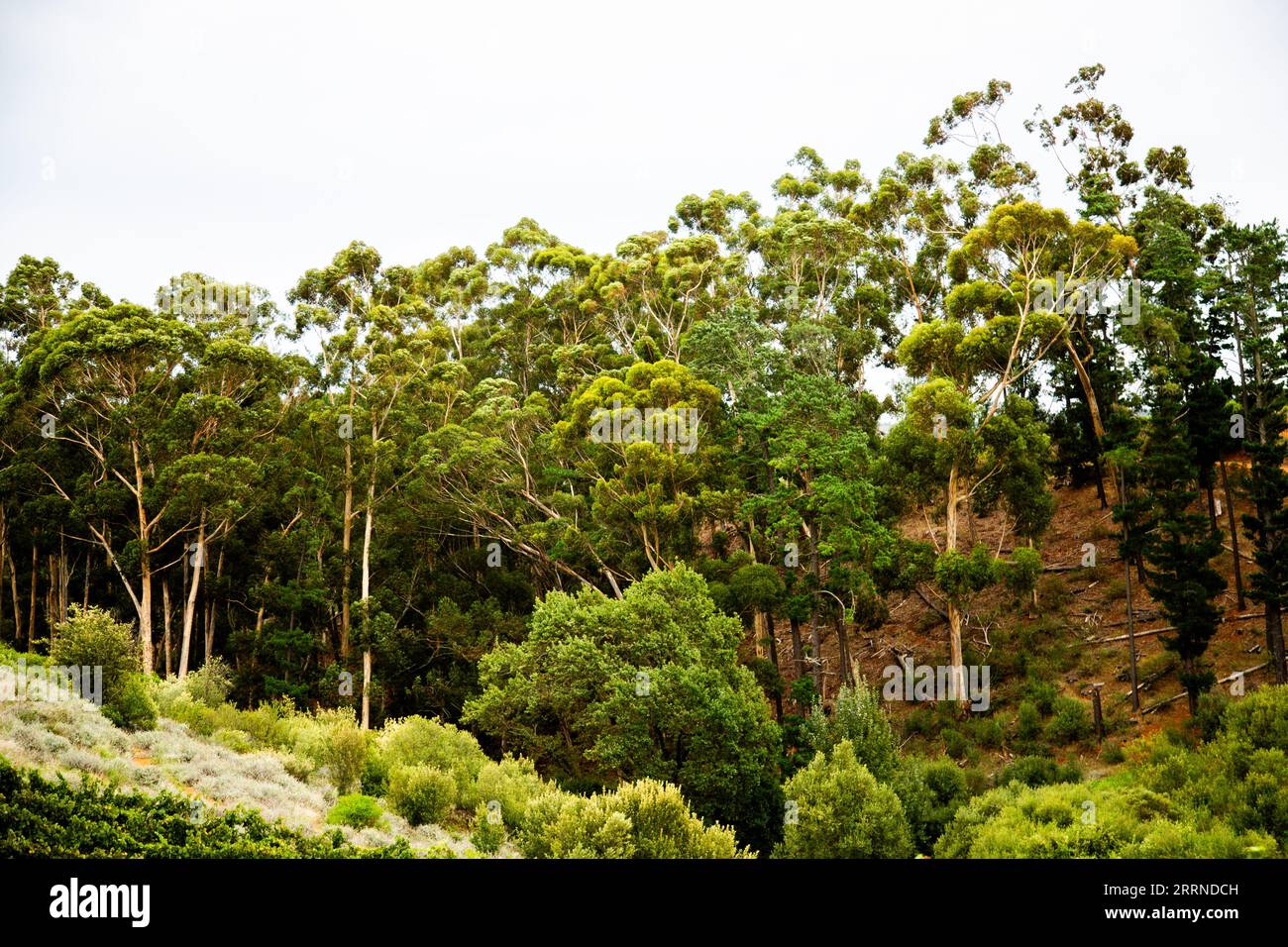 South African Farms Stock Photo - Alamy