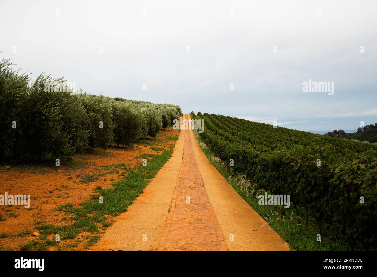 South African Farms Stock Photo - Alamy