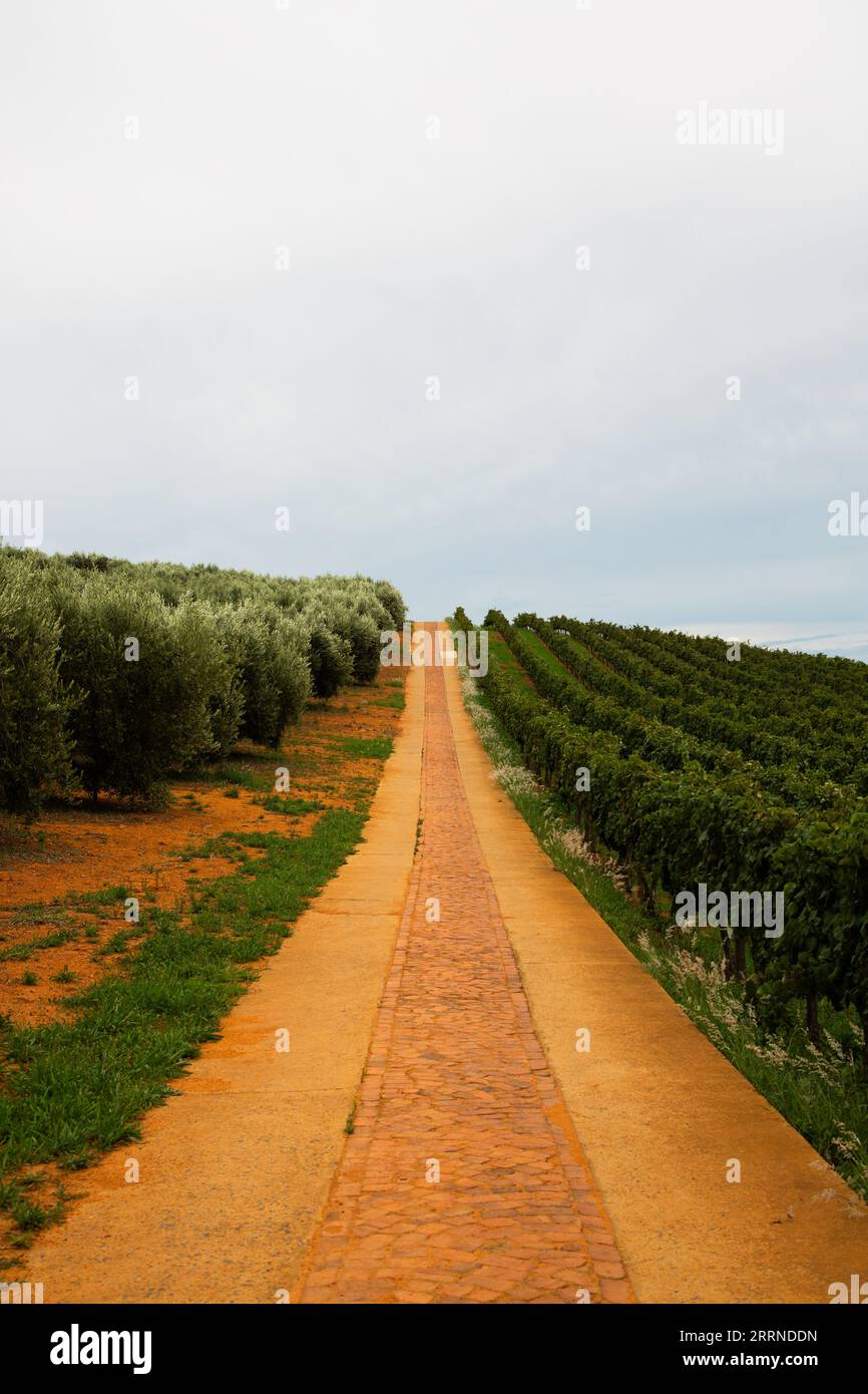 South African Farms Stock Photo Alamy