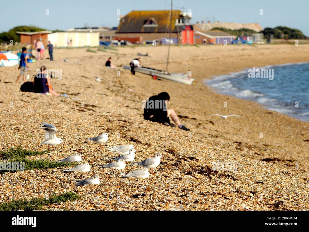 THE BEACH AT STOKES BAY, GOSPORT PIC MIKE WALKER 2023 Stock Photo Alamy