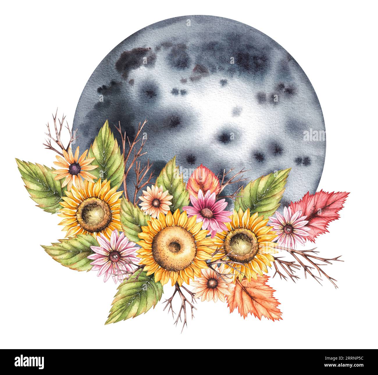 Watercolor moon with autumn bouquets isolated. Moon hand drawn on white