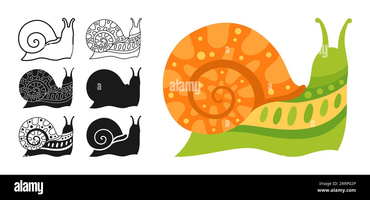 Abstract Images Of Snails And Tails