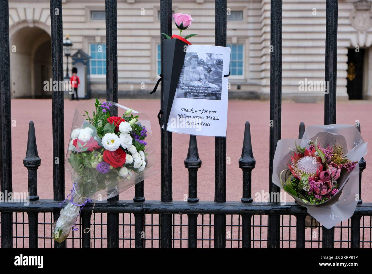 London, UK. 8th September, 2023. People gather at Buckingham Palace to remember the late Her Majesty Queen Elizabeth II, and place floral tributes on the first anniversary of her death. Credit: Eleventh Hour Photography/Alamy Live News Stock Photo