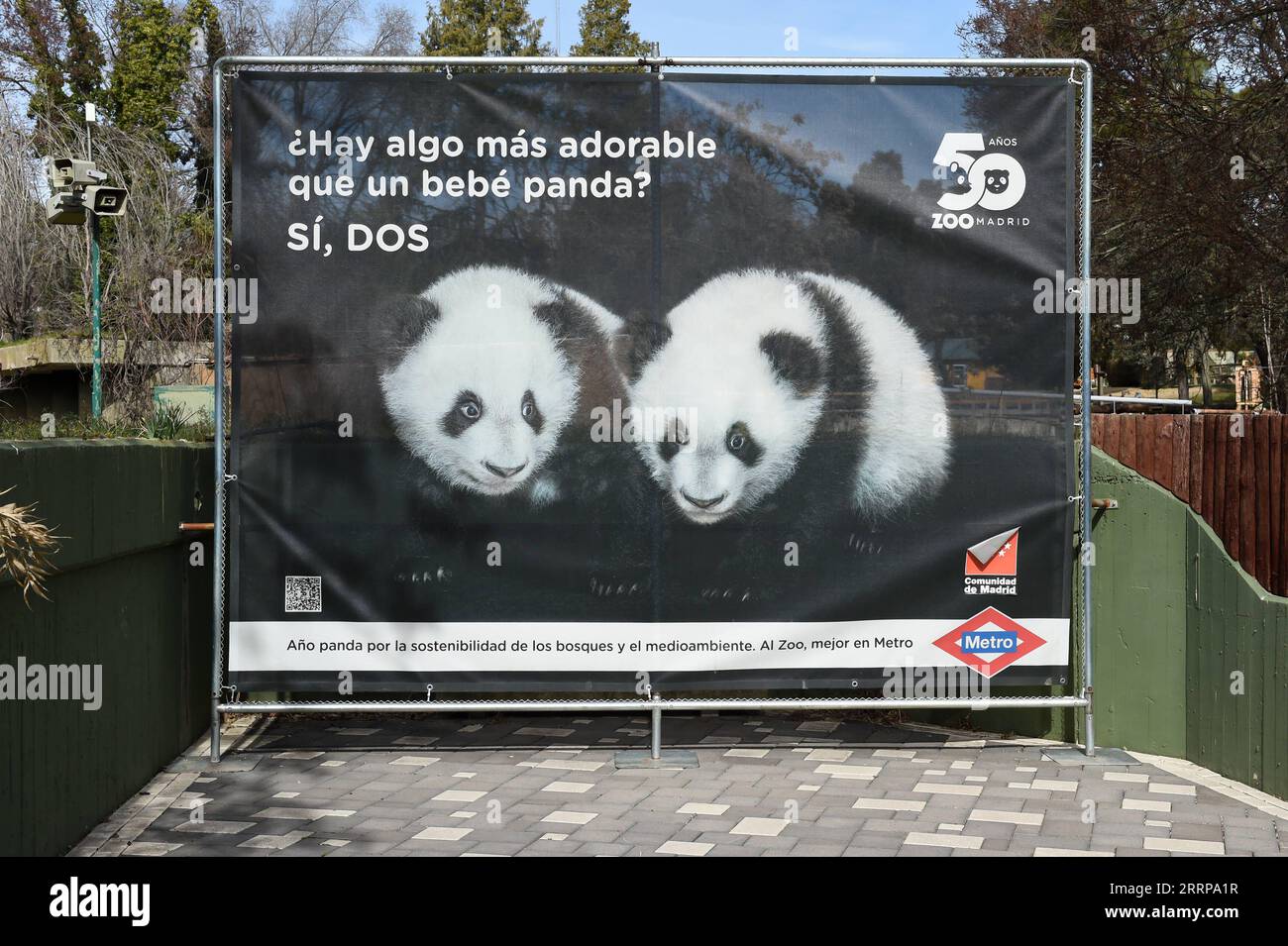 230308 -- MADRID, March 8, 2023 -- A poster showing images of giant panda twins is pictured at Zoo Aquarium in Madrid, Spain, March 7, 2023. Thanks to close cooperation between Zoo Aquarium and China Conservation and Research Center for the Giant Panda, specialists and staff members managed to breed this extremely rare species in a country far away from its homeland. You You and Jiu Jiu were born to Hua Zuiba and her partner Bing Xing in September, 2021. This giant panda family is cordially deemed a bridge of friendship between Spain and China. Photo by /Xinhua SPAIN-MADRID-CHINA-PANDA-BRIDGE Stock Photo
