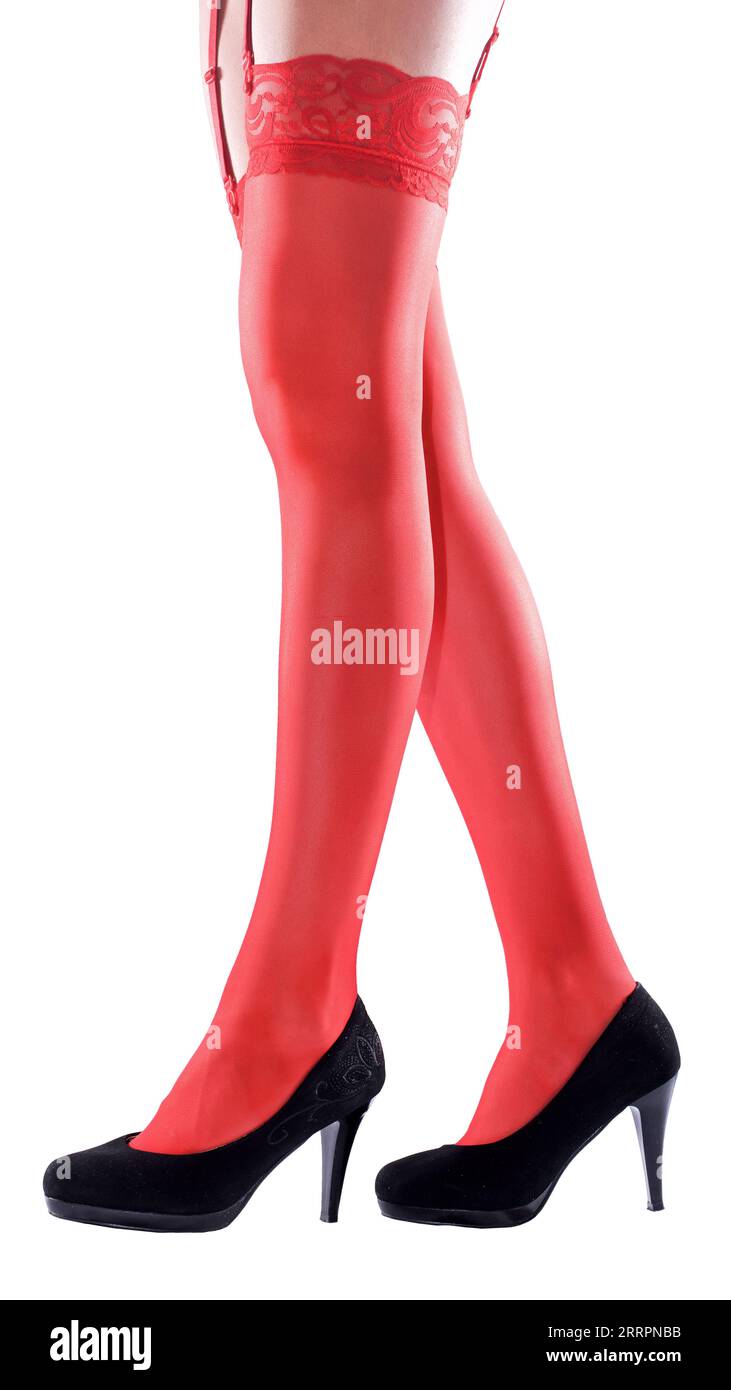 Long Slender Legs Woman Pantyhose. Stock Illustration