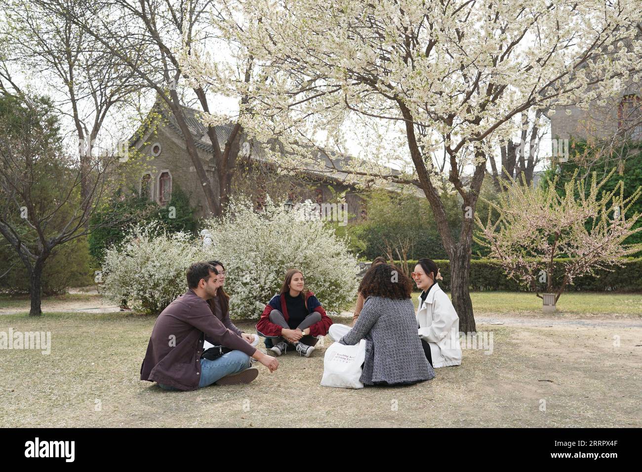 230415 -- BEIJING, April 15, 2023 -- Marco 1st L chats with schoolmates at Peking University in Beijing, capital of China, March 31, 2023. Maria Eduarda Variani, Rafaela Viana dos Santos, Manuela Boiteux Pestana, and Marco Andre Rocha Germano are Brazilian students studying in the Master of China Studies program at the Yenching Academy of Peking University in China. The four of them have been interested in Chinese culture since they were young. After arriving in Beijing, they have been impressed by the Chinese capital s profound cultural heritage, convenient public services, and fabulous citys Stock Photo