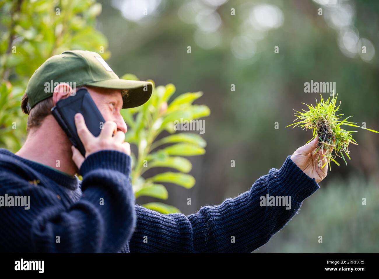 scientist agronomist farmer looking at soil samples and grass in a field in spring. looking at growth of plants and soil health, using a phone and tec Stock Photo