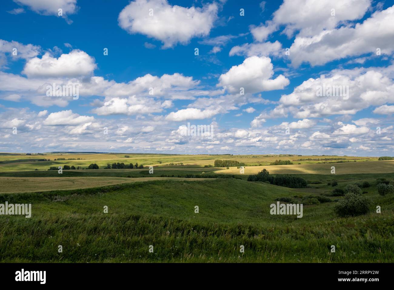 Green grass field on small hills and blue sky with clouds Stock Photo ...