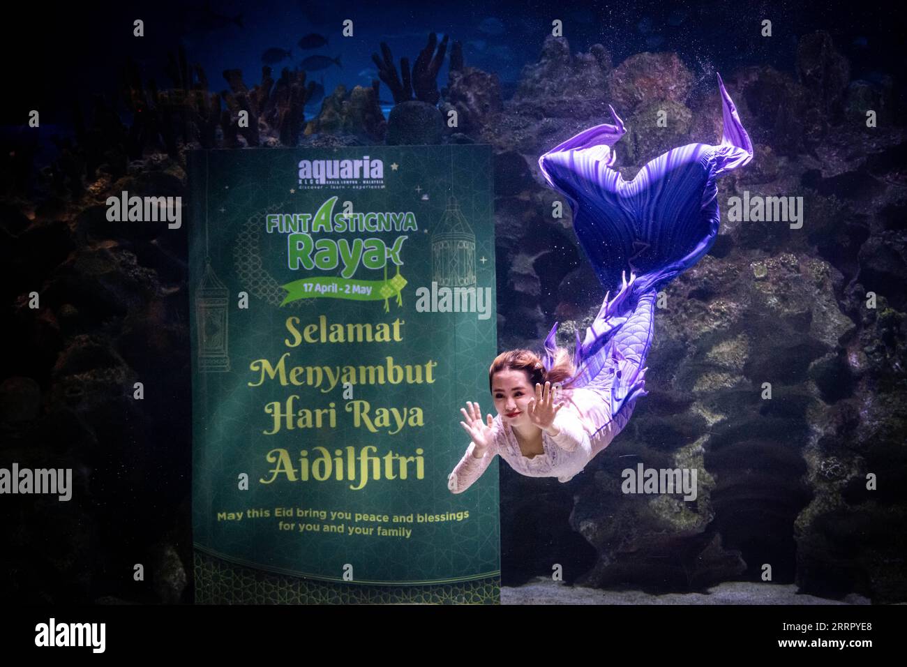 230419 KUALA LUMPUR, April 19, 2023 A mermaid swimmer performs
