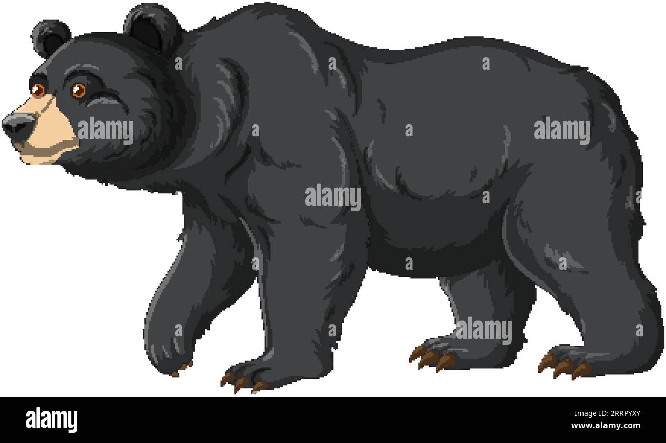 A vector cartoon illustration of a black bear isolated on a white ...