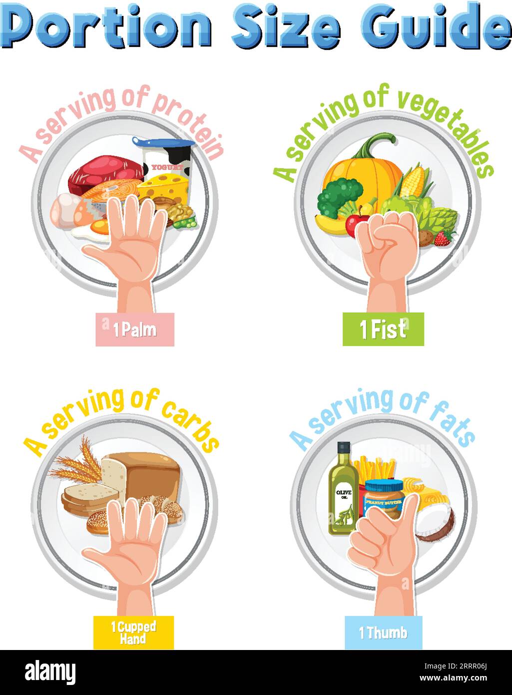 Comparing food amounts using hand portion size guide Stock Vector Image ...
