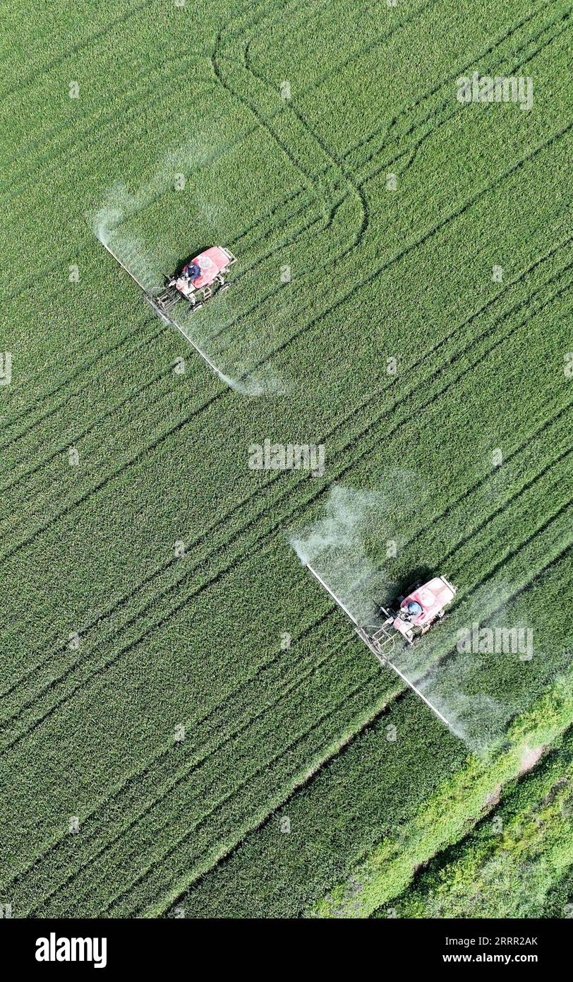 230427 -- BEIJING, April 27, 2023 -- This aerial photo shows farmers working in a field at Sanhe Town of Huaian City, east China s Jiangsu Province, April 26, 2023. Photo by /Xinhua CHINA-SPRING-FARMING CN YinxChao PUBLICATIONxNOTxINxCHN Stock Photo