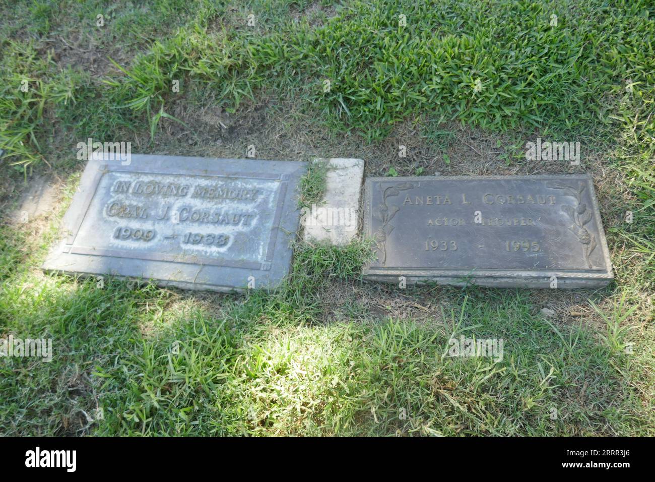 corsaut hires stock photography and images Alamy