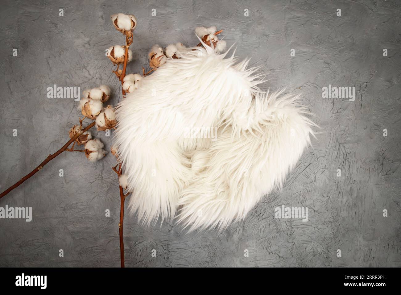 New born or baby portrait photography backdrop white fur, cotton flowers and cement flooring, flat lay Stock Photo