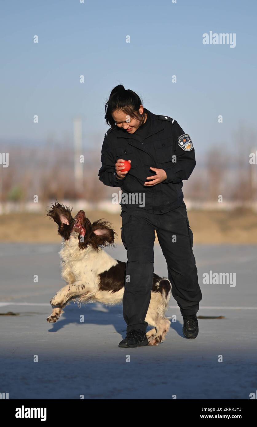 230501 -- ALATAW PASS, May 1, 2023 -- Liu Xin plays with police dog Kang Xin after work at Alataw Pass, northwest China s Xinjiang Uygur Autonomous Region, April 3, 2023. Alataw Pass is a major land port at the China-Kazakhstan border in northwest China s Xinjiang Uygur Autonomous Region. Cui Hongwu, an official with the border inspection station at the port, has been working for over 10 years. Here he met his wife Liu Xin, who is his colleague and works as a police dog handler. In recent years, the Alataw Pass has seen a growing number and accelerating frequency of inbound and outbound train Stock Photo