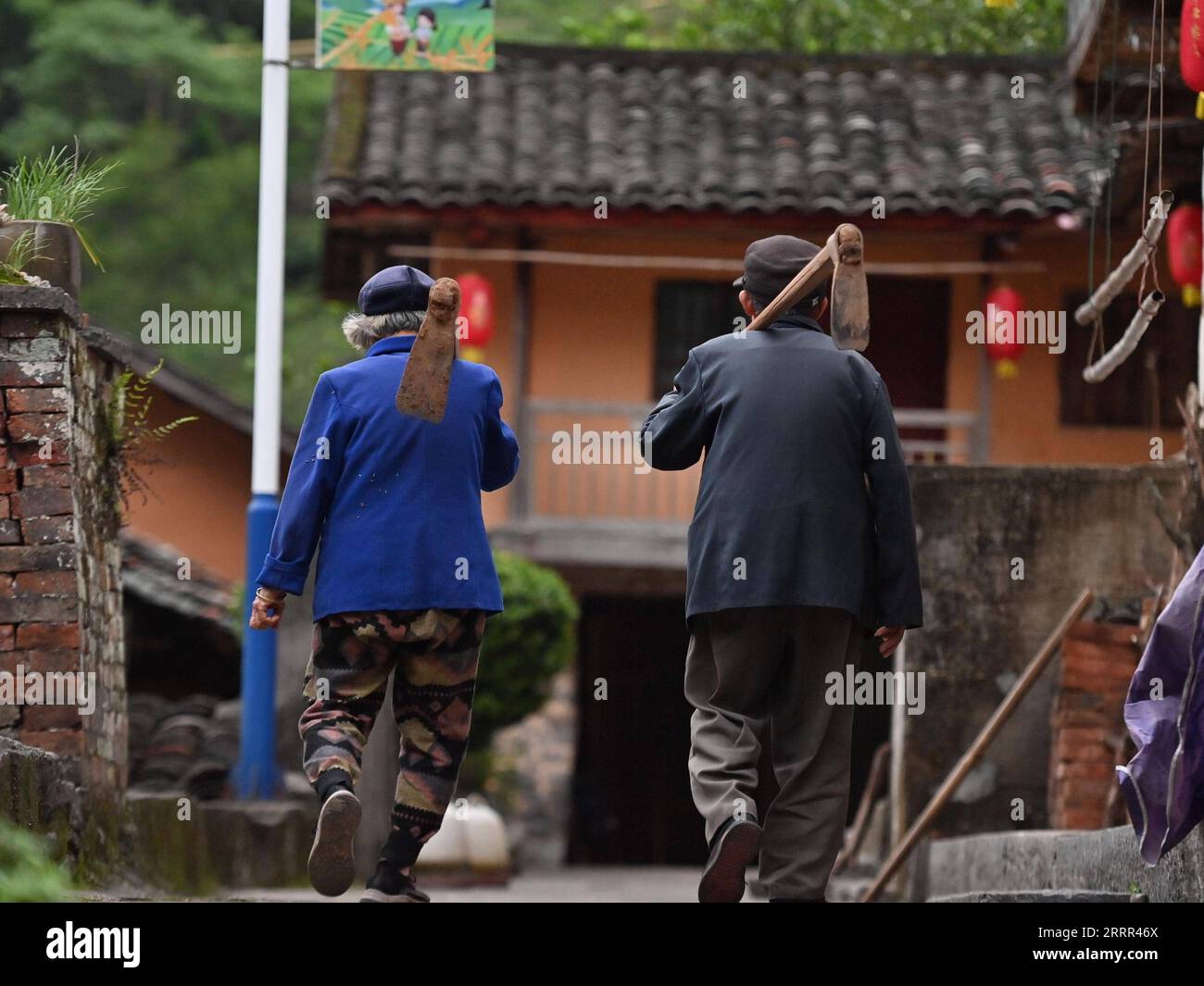 230430 -- BEIJING, April 30, 2023 -- Farmer Long Xianxing R, 85, and his wife return home after work in Yajiao Village of Dongqi Town, Rong an County, south China s Guangxi Zhuang Autonomous Region, April 24, 2023. International Workers Day is observed annually on May 1 in China. The sight of every worker s back prompts images related to effort, progress, practicality, as well as faith in the future. Every worker, no matter how ordinary, deserves a big applause for their every bit of hard work in making themselves a better person and the world a better place.  CHINA-INT L WORKERS DAY-WORKERS C Stock Photo
