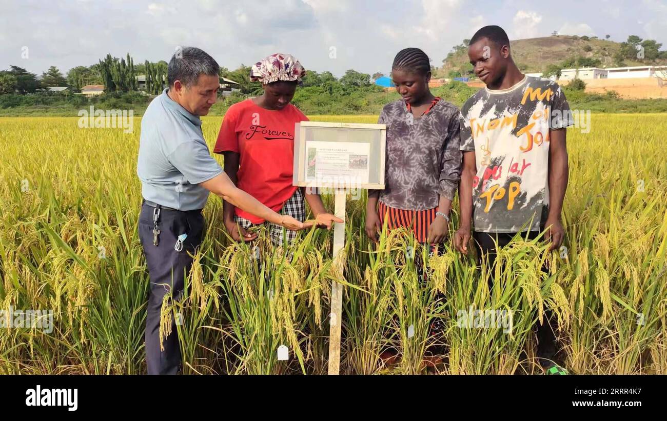 Agriculture tech africa hi-res stock photography and images - Alamy