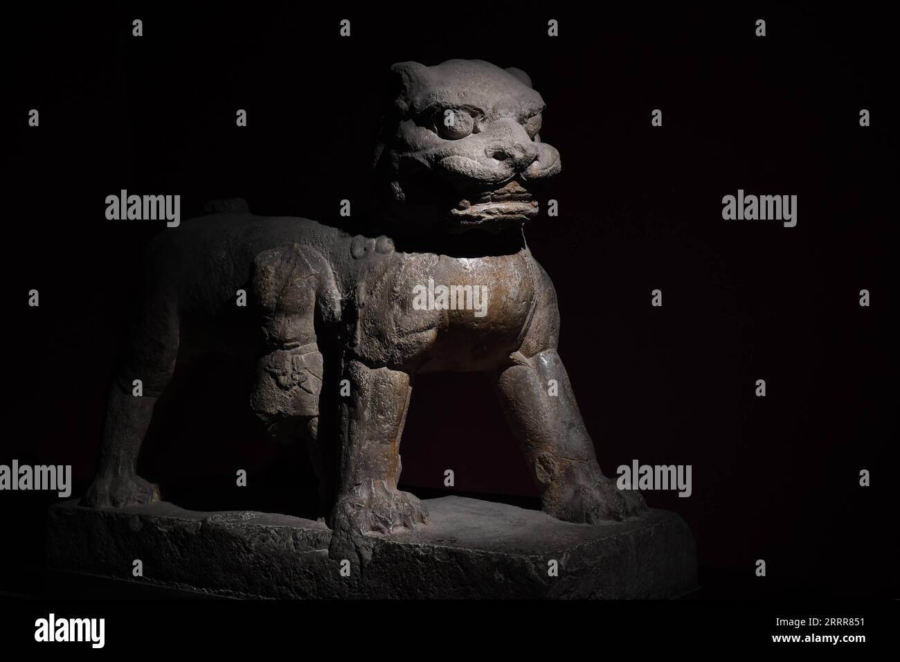230513 -- XI AN, May 13, 2023 -- This photo taken on May 9, 2023 shows a stone lion statue displayed in Xi an Beilin Museum in Xi an, northwest China s Shaanxi Province. Founded about 3,100 years ago, Xi an, which is today the capital of China s Shaanxi Province, served as the capital for 13 dynasties in Chinese history. This is also the place where Zhang Qian, an envoy of the Western Han Dynasty 202 BC-25 AD, began his journey to the Western regions via Central Asia. This expedition eventually led to the opening of the Silk Road. Xi an has a total of 159 museums, attracting over 30 million pe Stock Photo