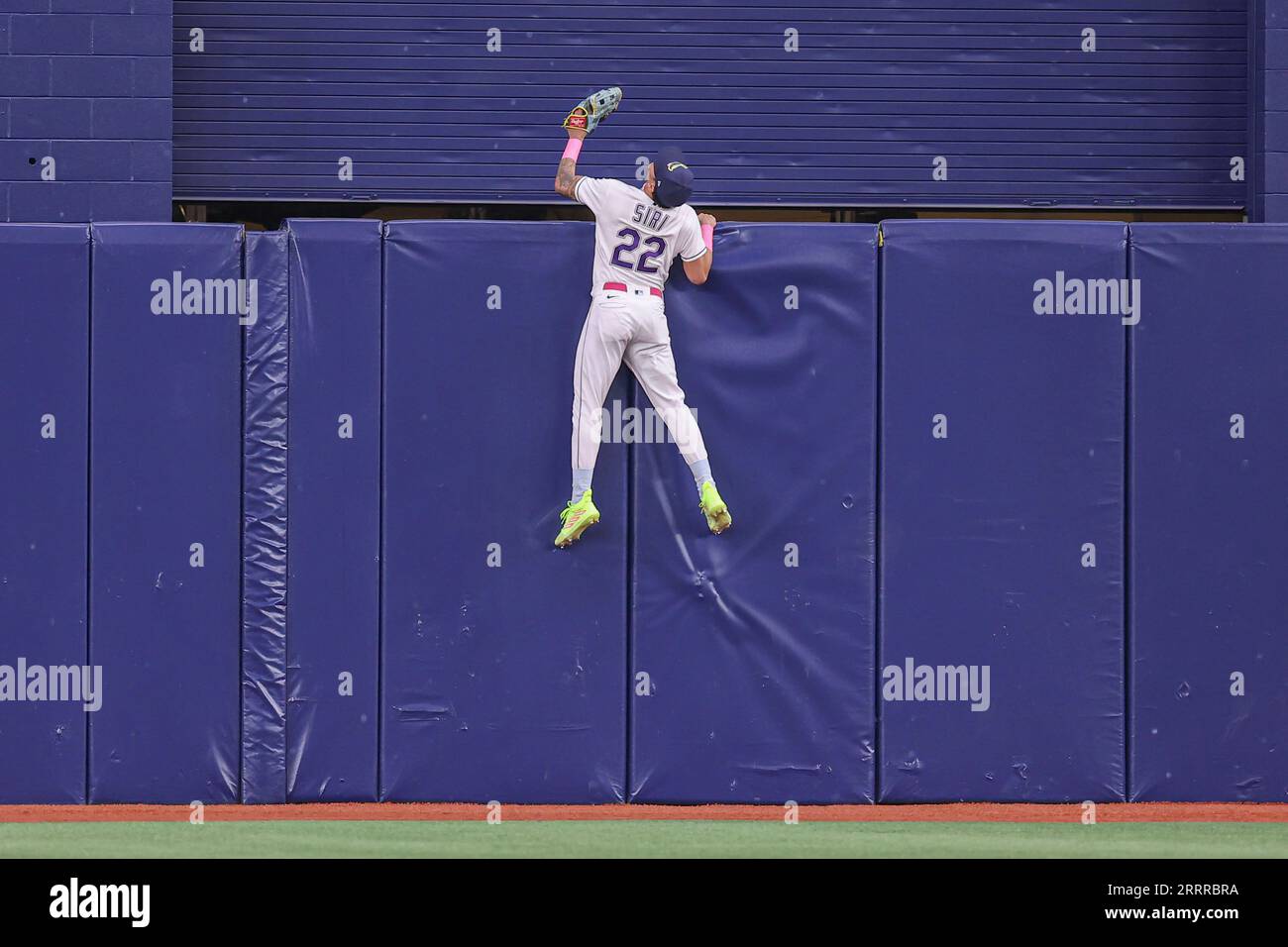 St. Petersburg, FL USA; Tampa Bay Rays center fielder Jose Siri (22) climbs the walls trying to catch a home run ball off the bat of Seattle Mariners Stock Photo