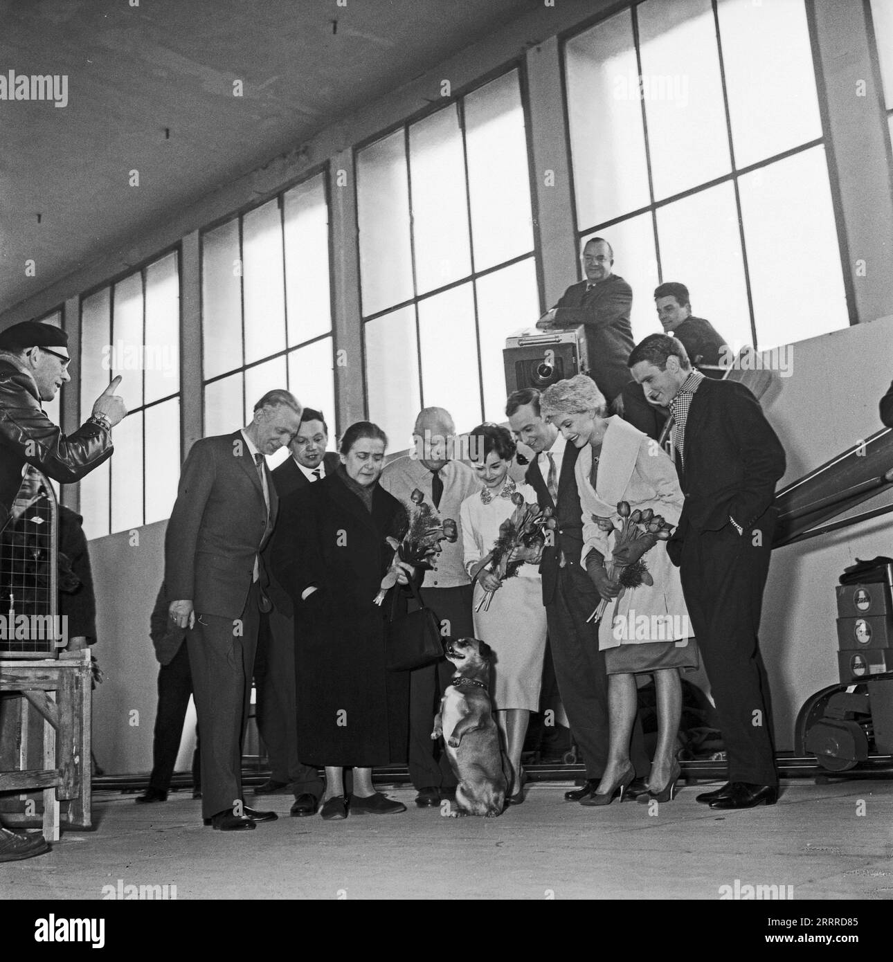 Klaus mangold Black and White Stock Photos &amp; Images - Alamy